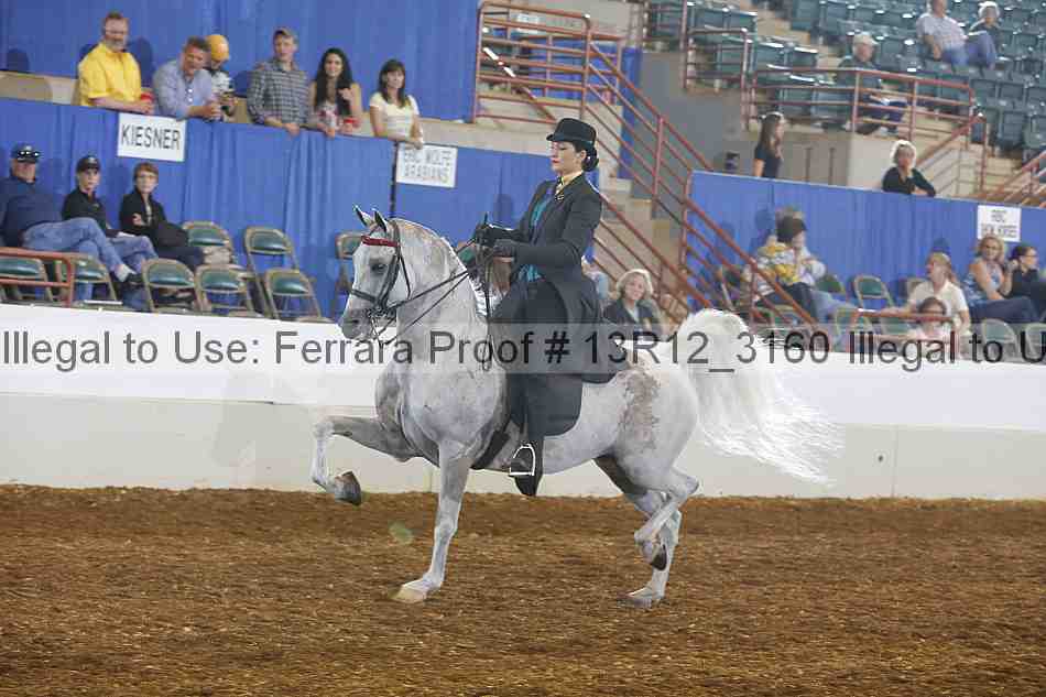 Proof 13r12_3160