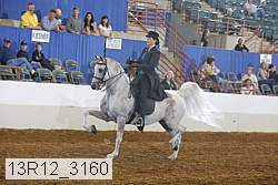 13r12_3160 proof