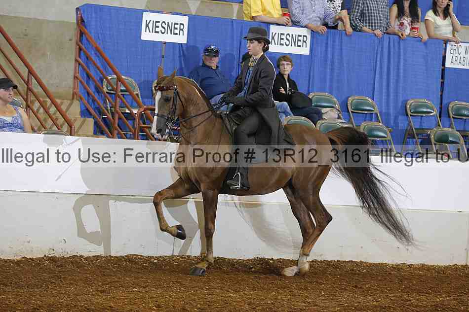 Proof 13r12_3161