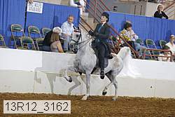 13r12_3162 proof