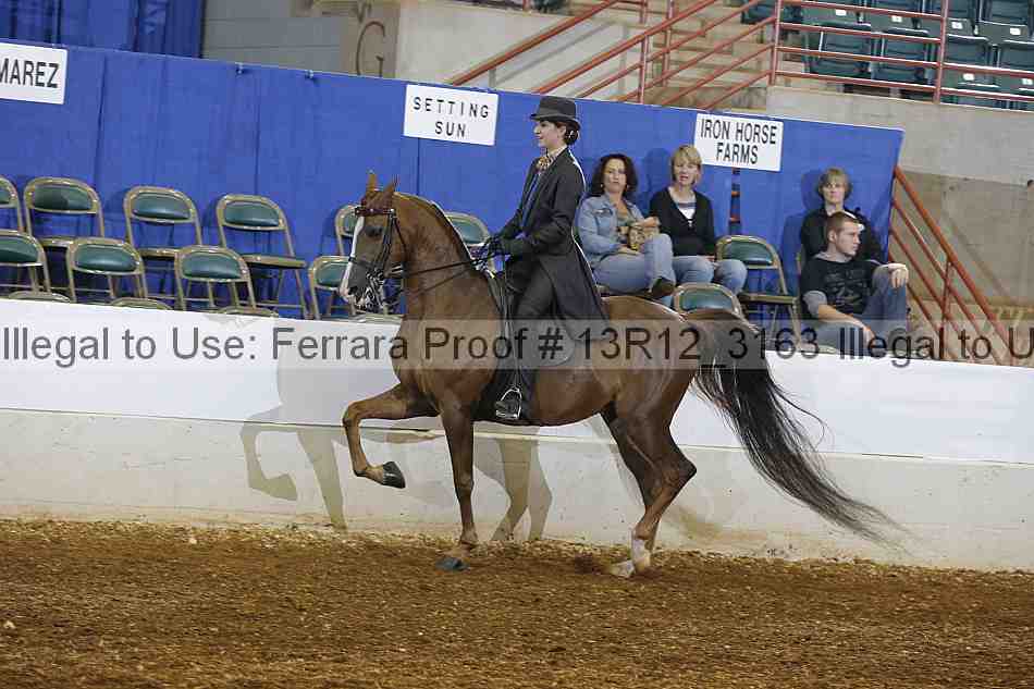 Proof 13r12_3163