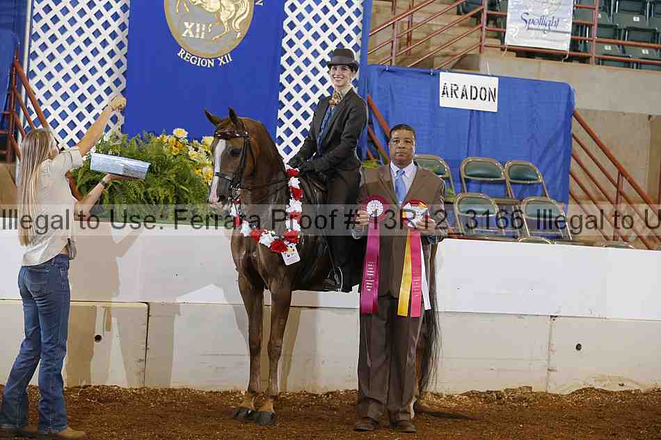 Proof 13r12_3166