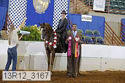 13r12_3167 proof