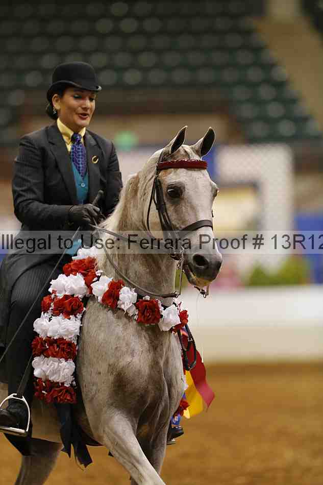 Proof 13r12_3172