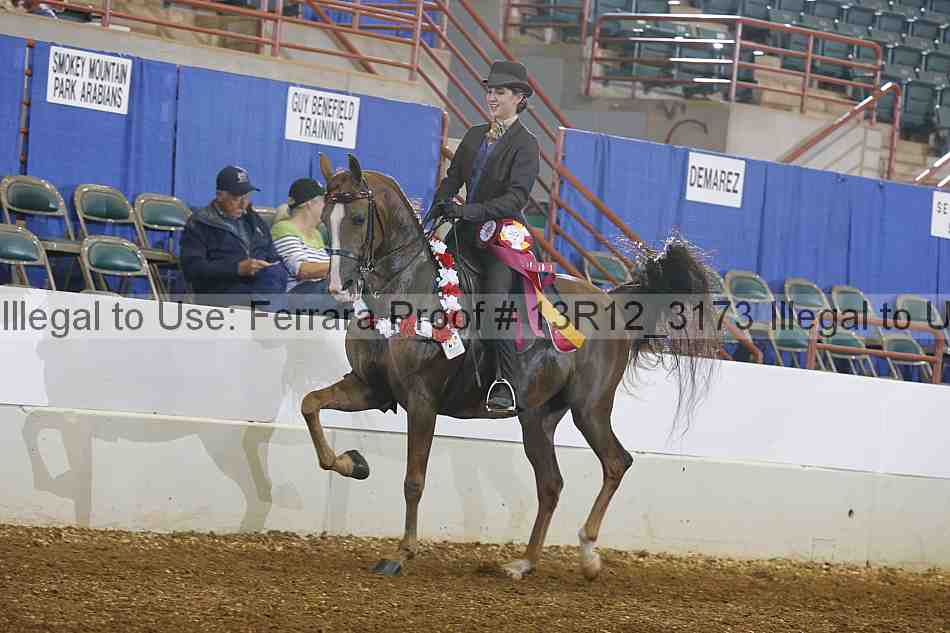 Proof 13r12_3173