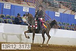 13r12_3173 proof