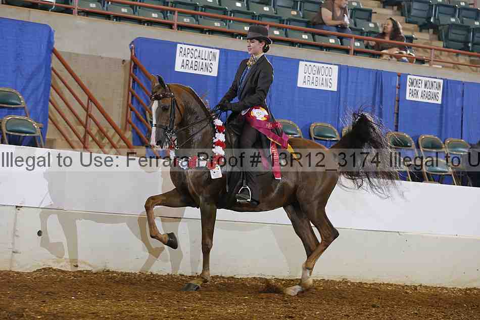 Proof 13r12_3174