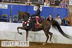 13r12_3175 proof