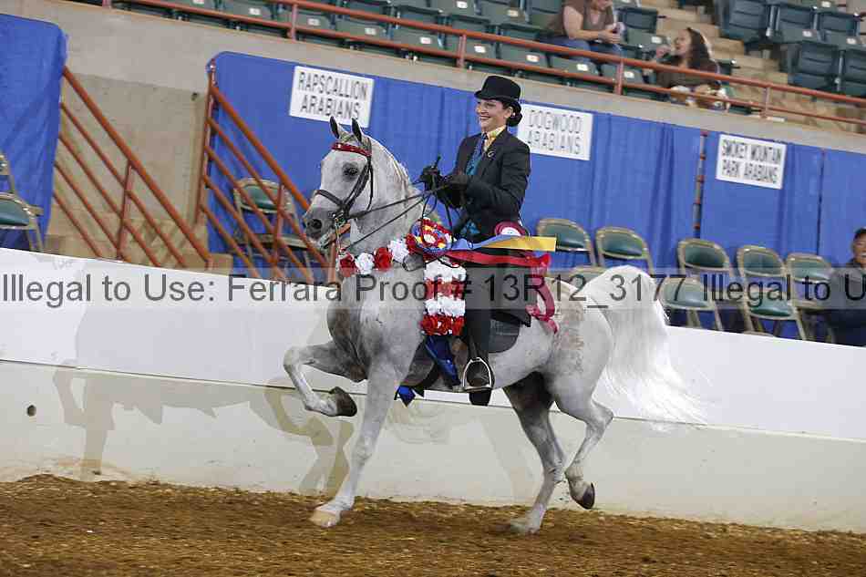 Proof 13r12_3177