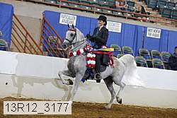 13r12_3177 proof