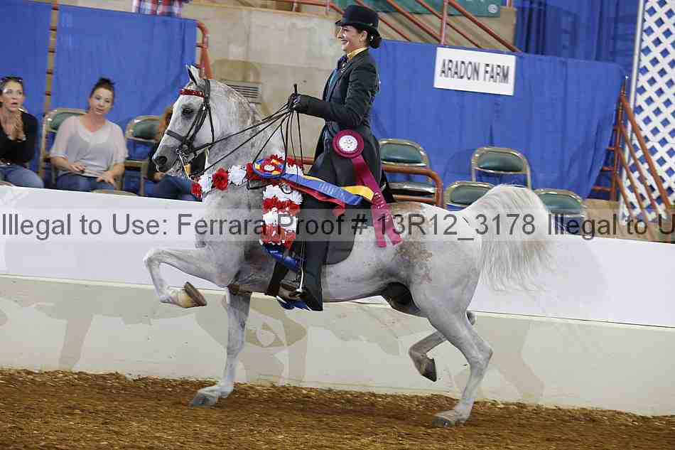 Proof 13r12_3178