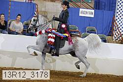13r12_3178 proof