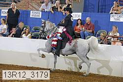 13r12_3179 proof