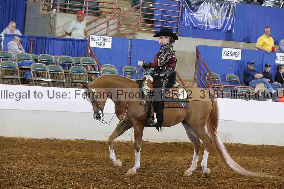 Proof 13r12_3181