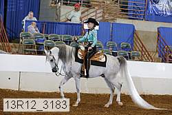 13r12_3183 proof