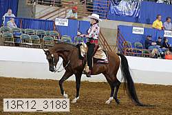 13r12_3188 proof
