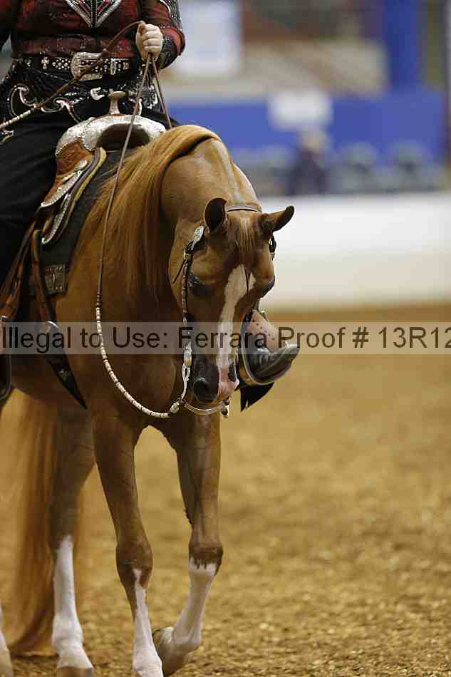 Proof 13r12_3191