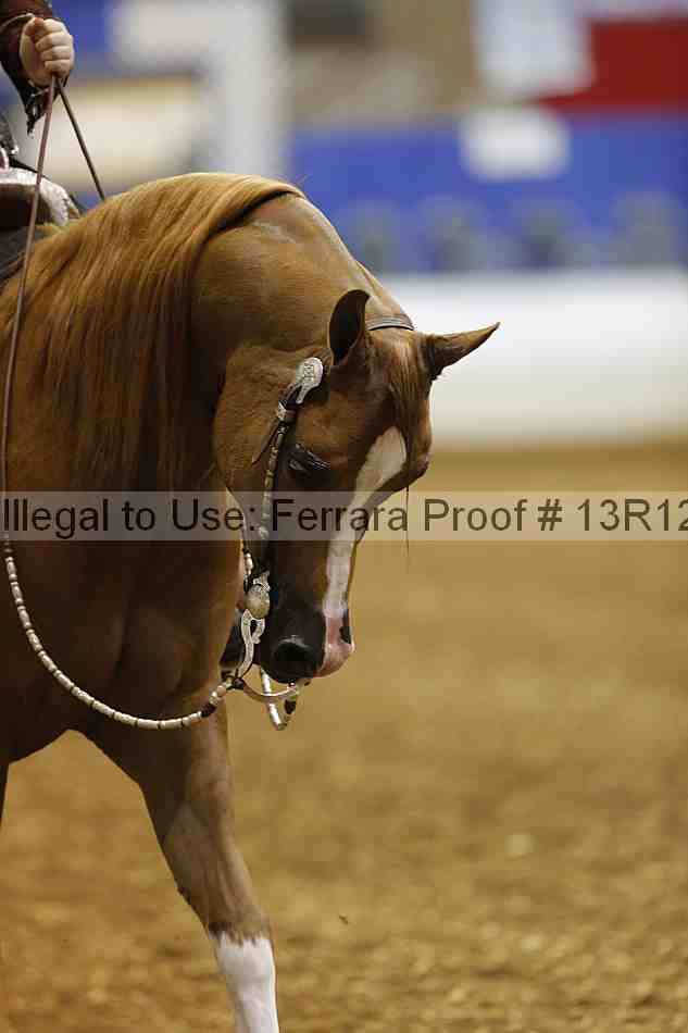 Proof 13r12_3192