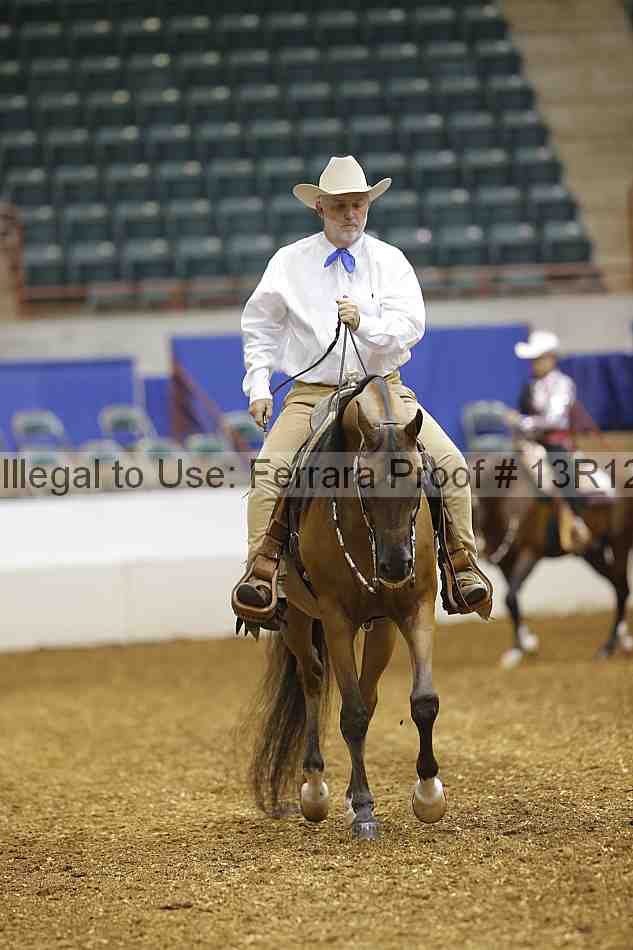 Proof 13r12_3195