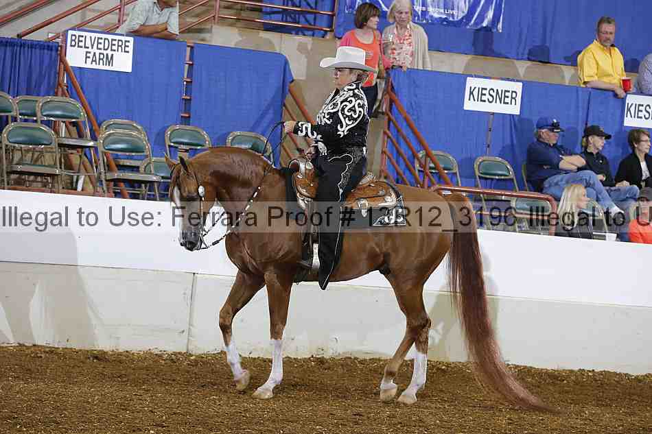 Proof 13r12_3196