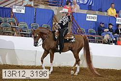 13r12_3196 proof