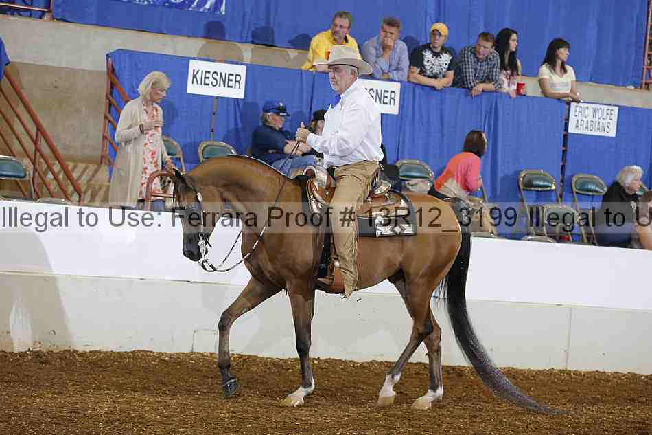 Proof 13r12_3199
