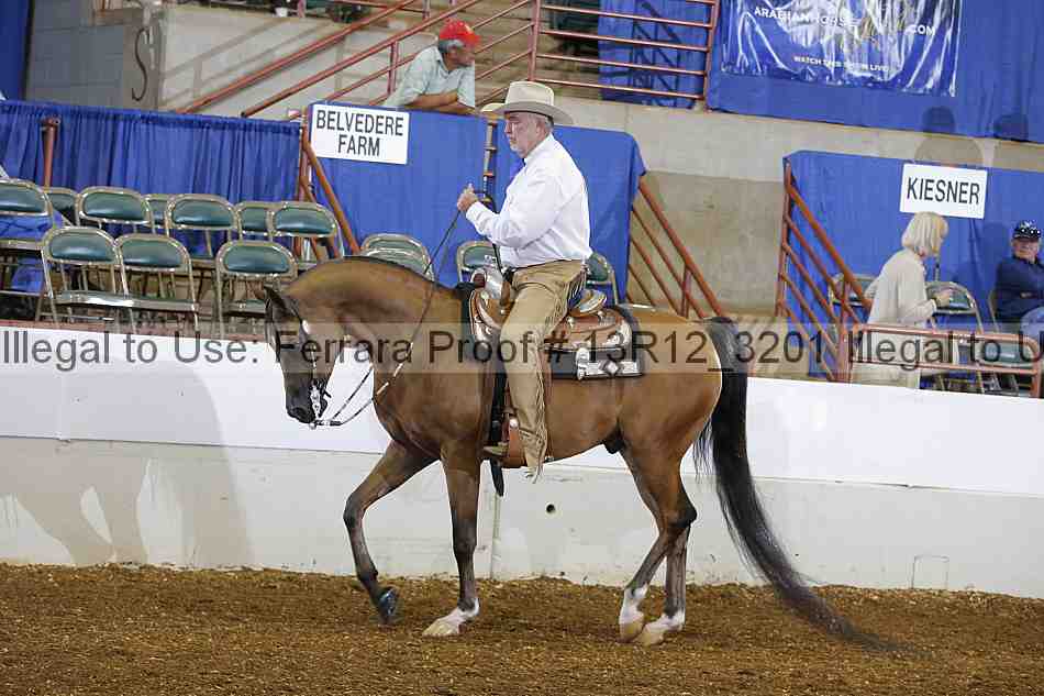 Proof 13r12_3201
