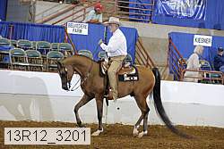 13r12_3201 proof