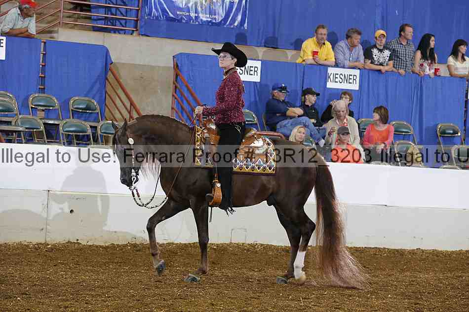 Proof 13r12_3203