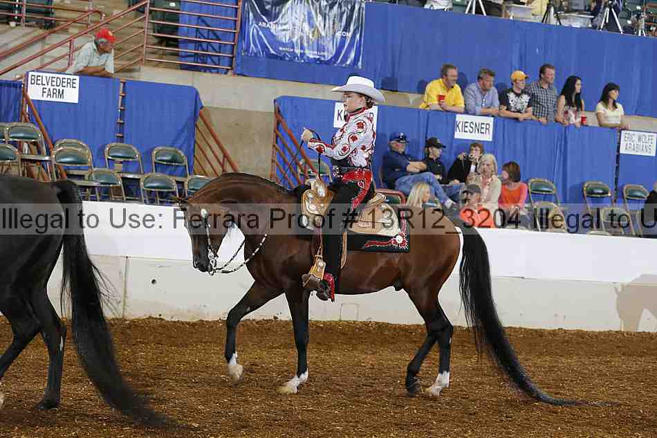Proof 13r12_3204