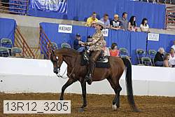 13r12_3205 proof