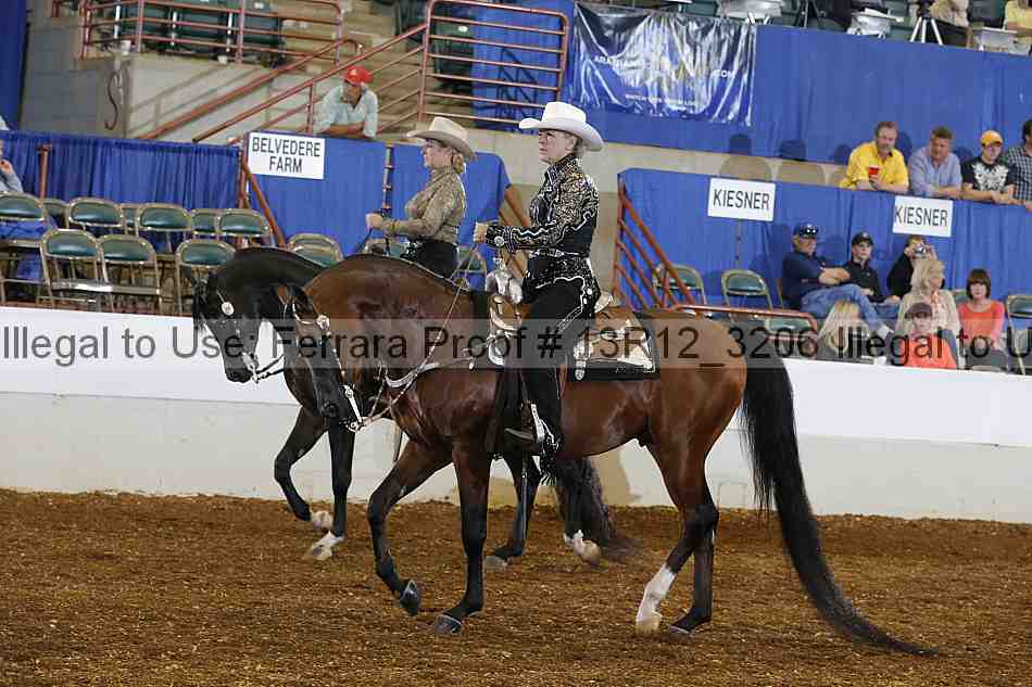 Proof 13r12_3206