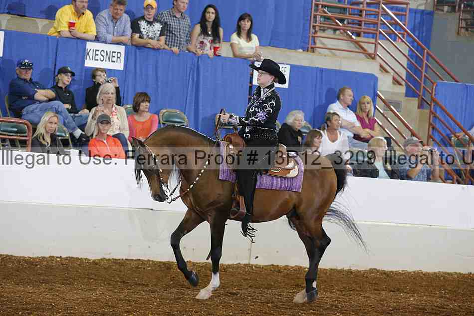 Proof 13r12_3209