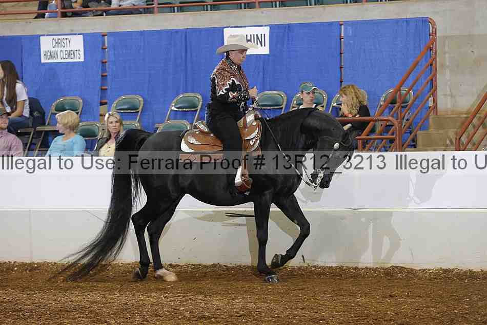 Proof 13r12_3213