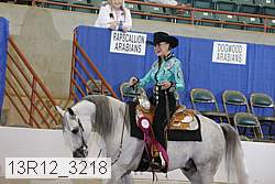 13r12_3218 proof