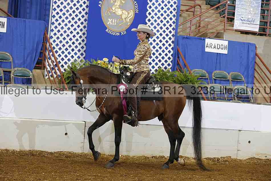 Proof 13r12_3238