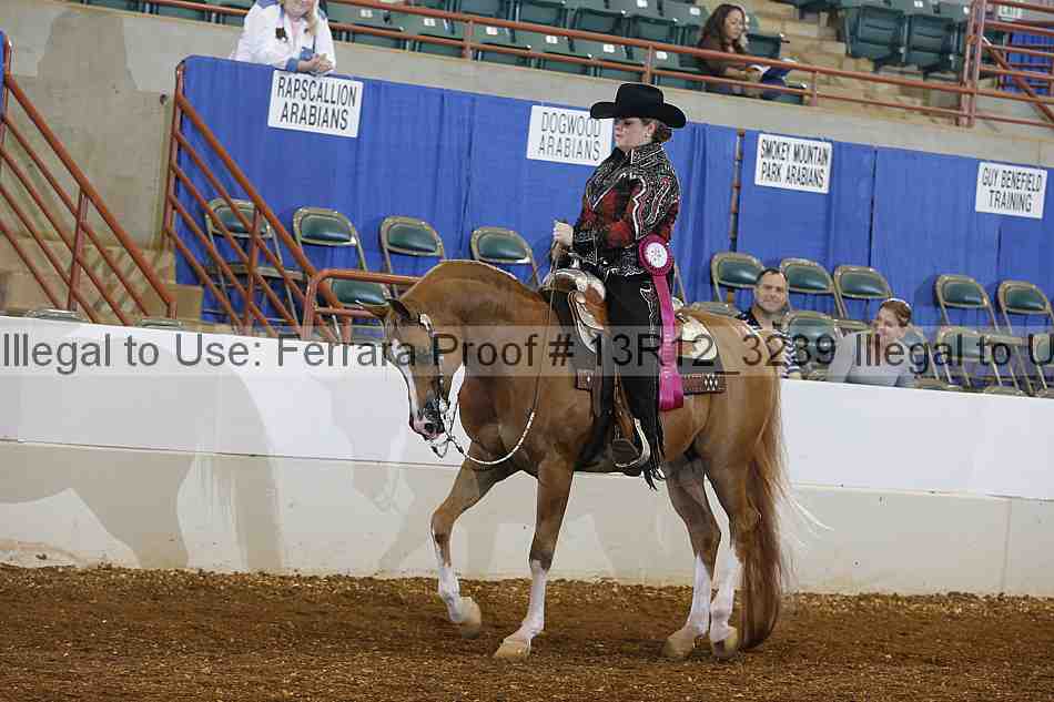 Proof 13r12_3239