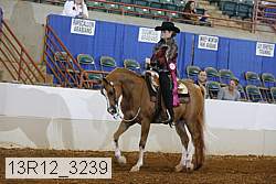 13r12_3239 proof