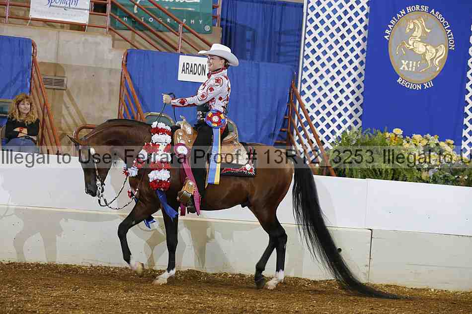 Proof 13r12_3253