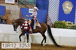 13r12_3253 proof