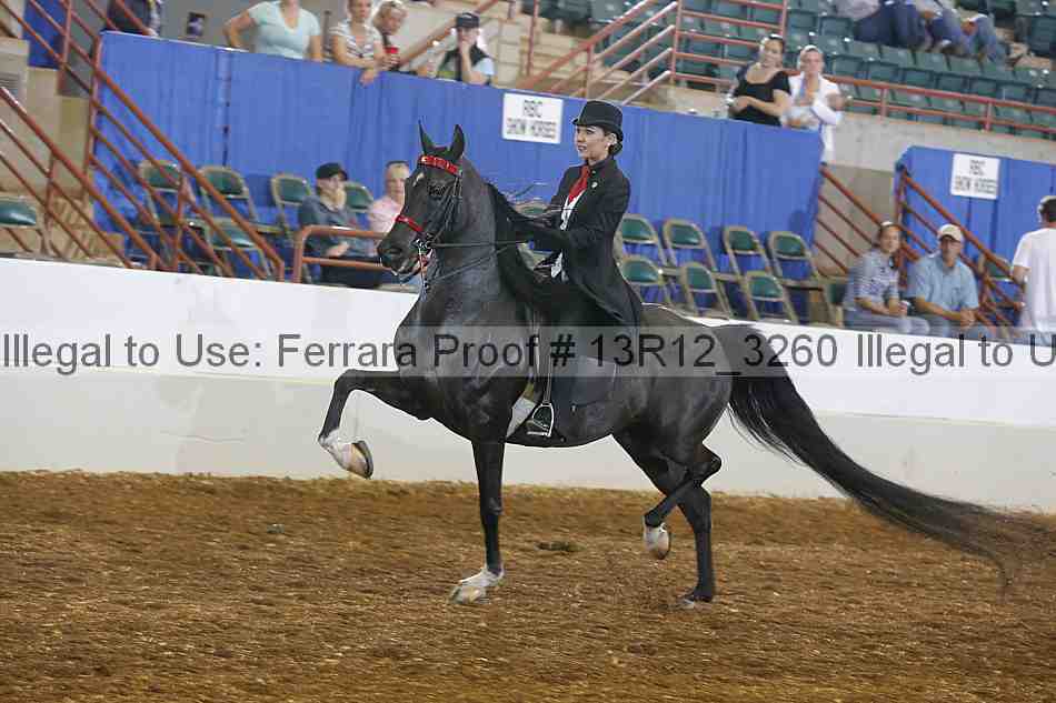 Proof 13r12_3260