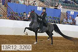 13r12_3260 proof