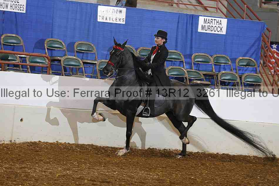 Proof 13r12_3261