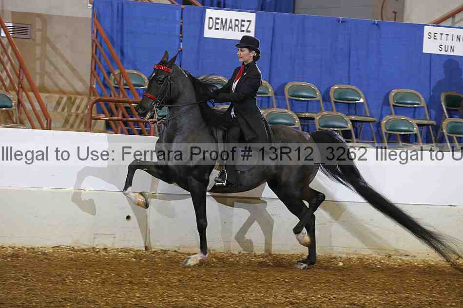 Proof 13r12_3262