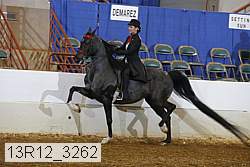 13r12_3262 proof