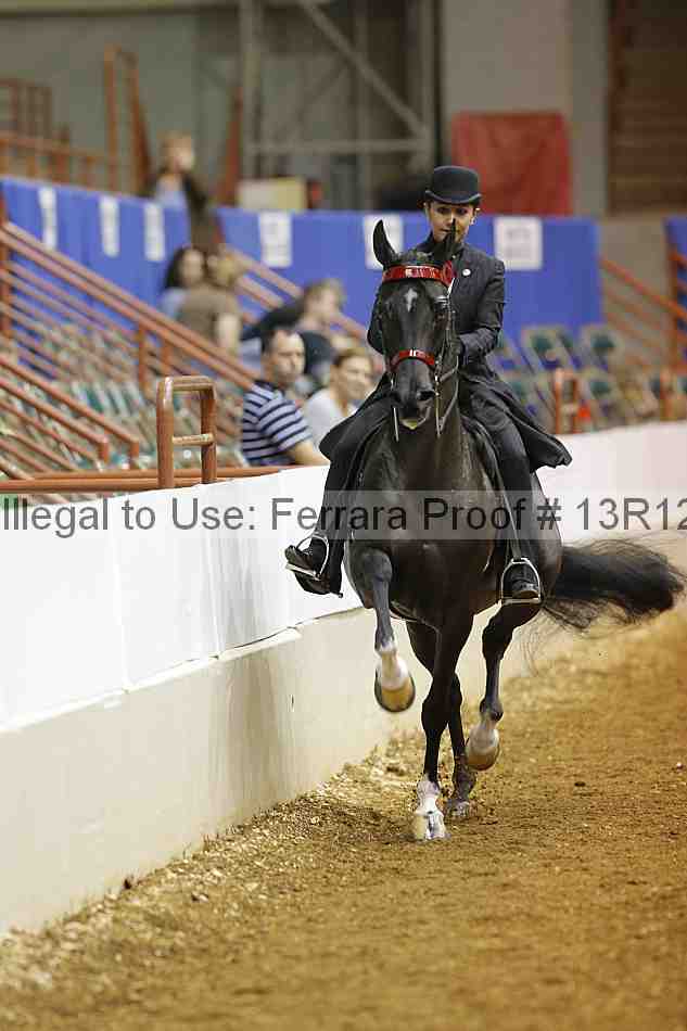 Proof 13r12_3263