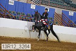 13r12_3264 proof