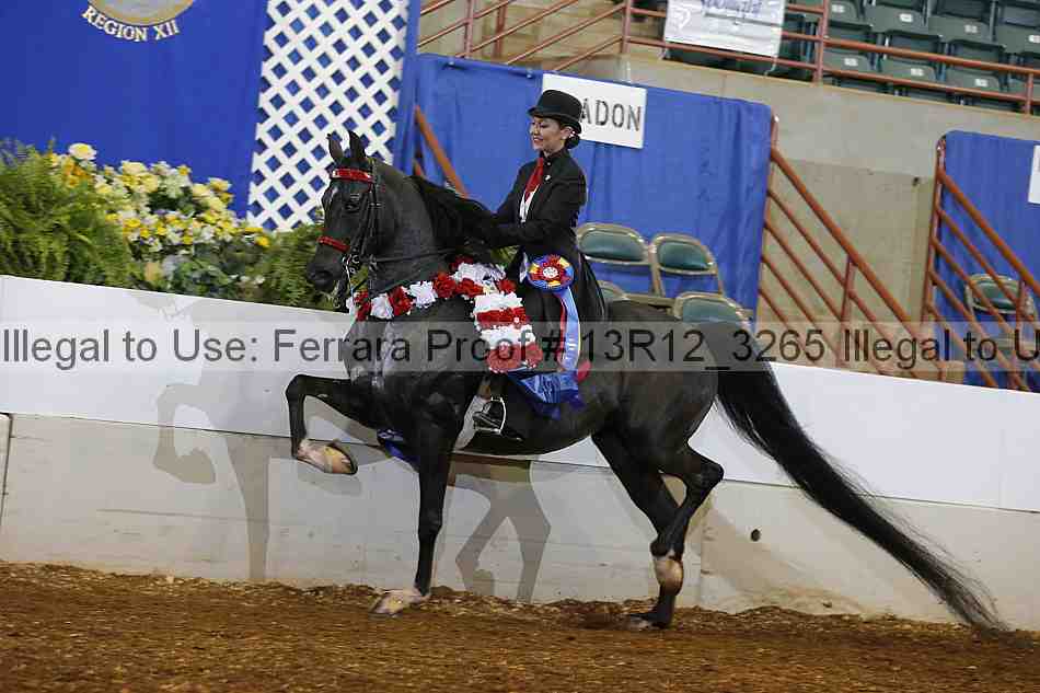 Proof 13r12_3265