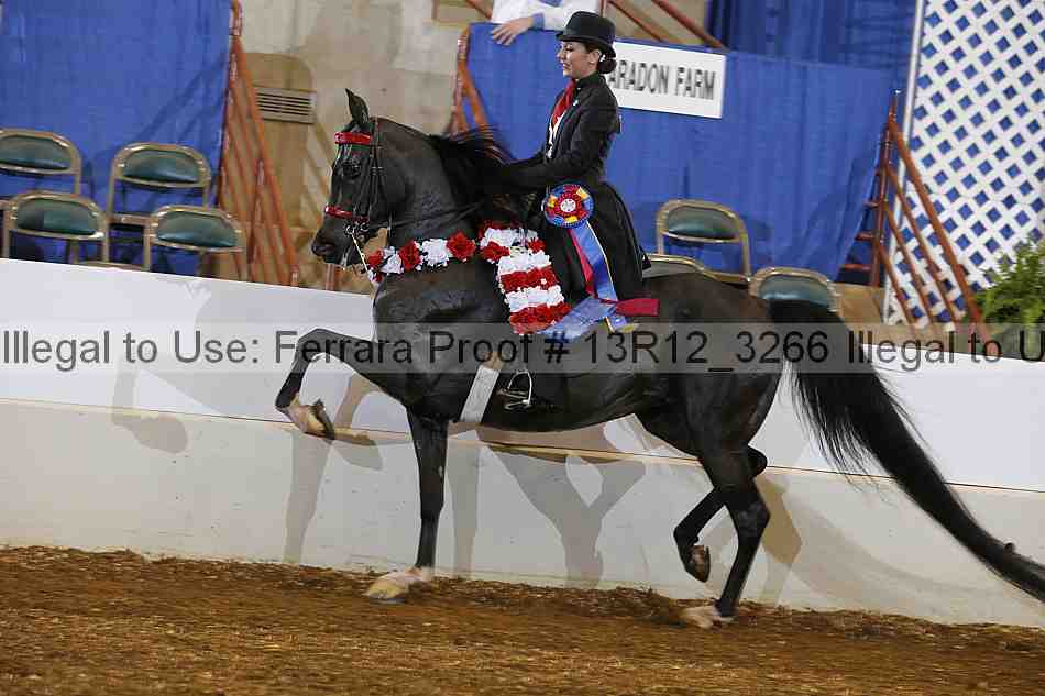 Proof 13r12_3266