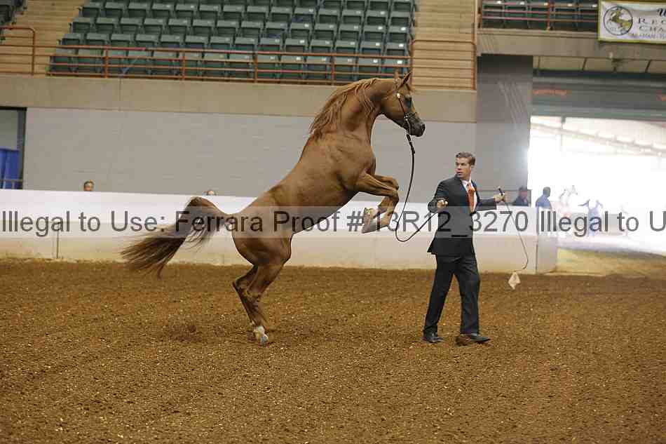 Proof 13r12_3270